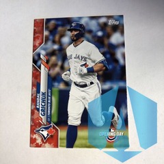 2020 Topps Opening Day Randal Grichuk #114 Canada Exclusive SP Blue Jays